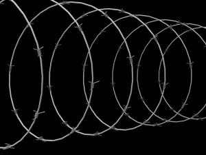Barbed Wire 3D Model