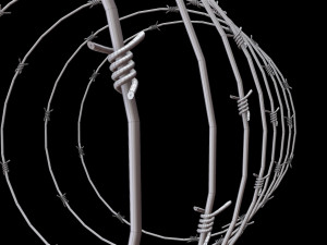Barbed Wire 3D Model