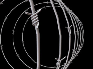 Barbed Wire 3D Model