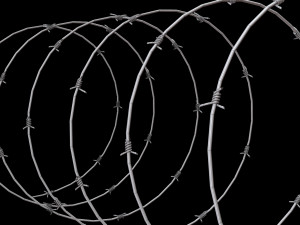Barbed Wire 3D Model