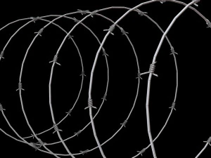 Barbed Wire 3D Model