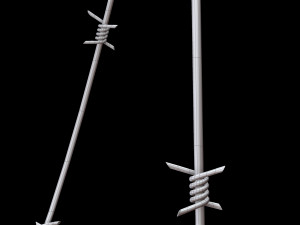 Barbed Wire 3D Model