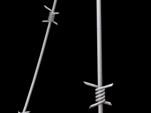 Barbed Wire 3D Model