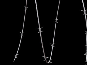 Barbed Wire 3D Model