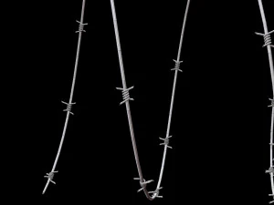 Barbed Wire 3D Model