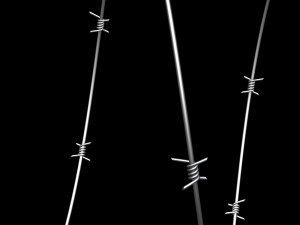 Barbed Wire 3D Model