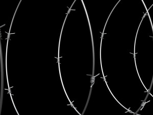 Barbed Wire 3D Model