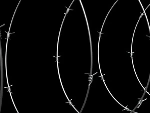 Barbed Wire 3D Model