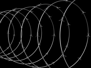 Barbed Wire 3D Model