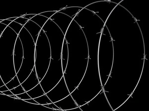 Barbed Wire 3D Model