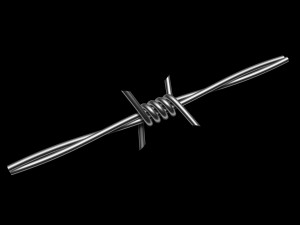 Barbed Wire Model 3D
