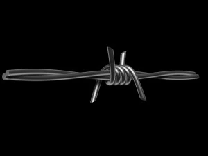 Barbed Wire 3D Model
