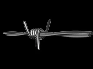 Barbed Wire 3D Model