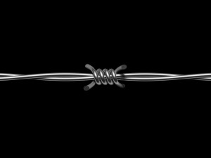 Barbed Wire 3D Модель