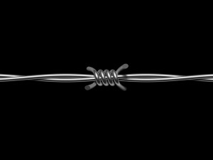 Barbed Wire 3D Модель