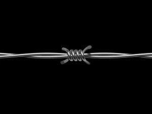 Barbed Wire 3D Model