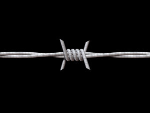 Barbed Wire 3D Модель