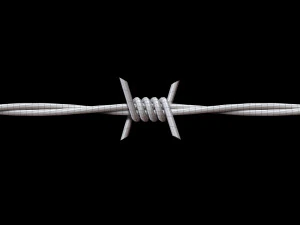 Barbed Wire 3D Model