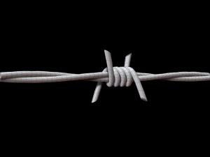 Barbed Wire 3D Model