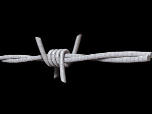 Barbed Wire 3D Модель