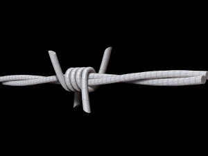 Barbed Wire 3D Model