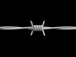 Barbed Wire 3D Модель