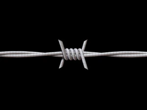 Barbed Wire 3D Model