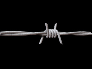 Barbed Wire 3D Модель