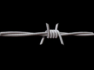 Barbed Wire 3D Model