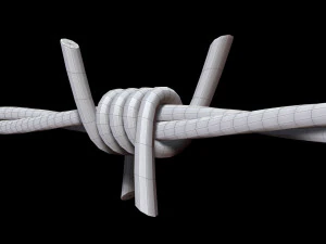Barbed Wire 3D Model