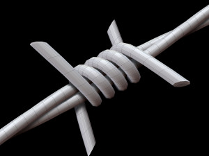 Barbed Wire 3D Модель