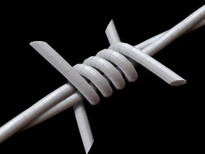 Barbed Wire 3D Model