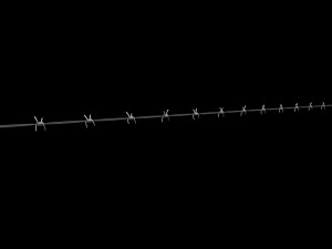 Barbed Wire 3D Model
