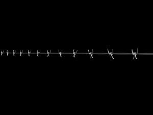 Barbed Wire 3D Model