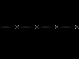 Barbed Wire 3D Model