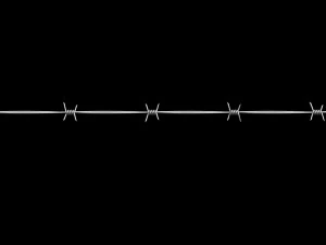 Barbed Wire 3D Model