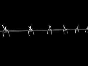 Barbed Wire 3D Model