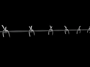Barbed Wire 3D Model
