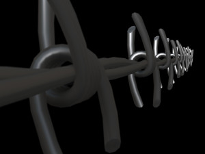 Barbed Wire 3D Model