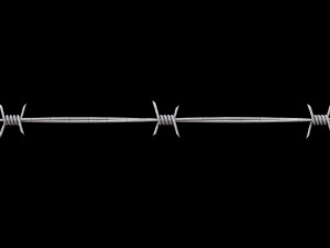 Barbed Wire 3D Model