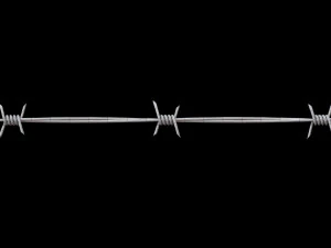 Barbed Wire 3D Model