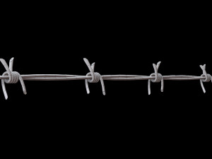 Barbed Wire 3D Model