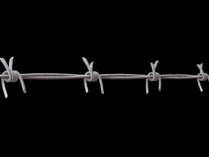 Barbed Wire 3D Model