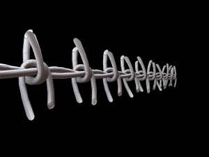 Barbed Wire 3D Model