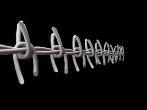 Barbed Wire 3D Model