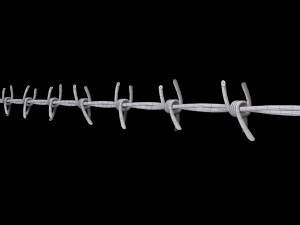 Barbed Wire 3D Model