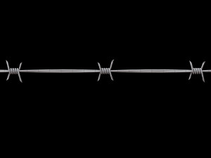 Barbed Wire 3D Model