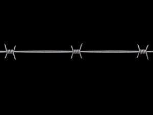 Barbed Wire 3D Model