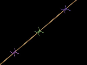 Barbed Wire 3D Model
