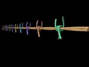 Barbed Wire 3D Model